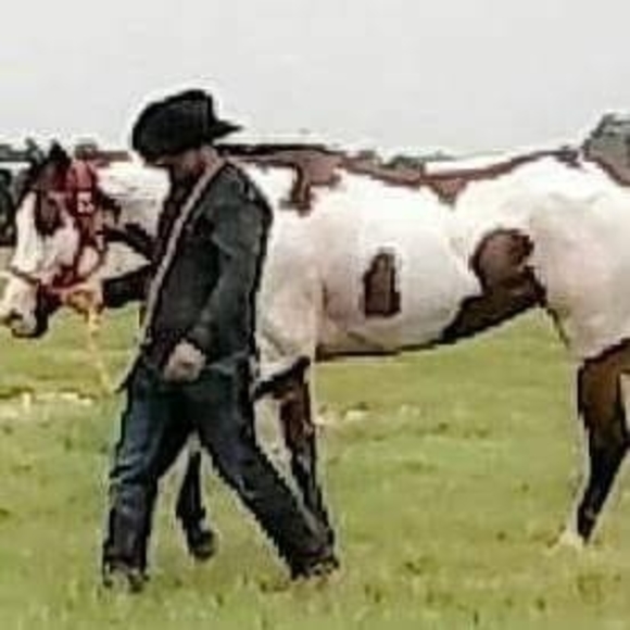 Meet your Posher, Roli - Picture 1 of 1